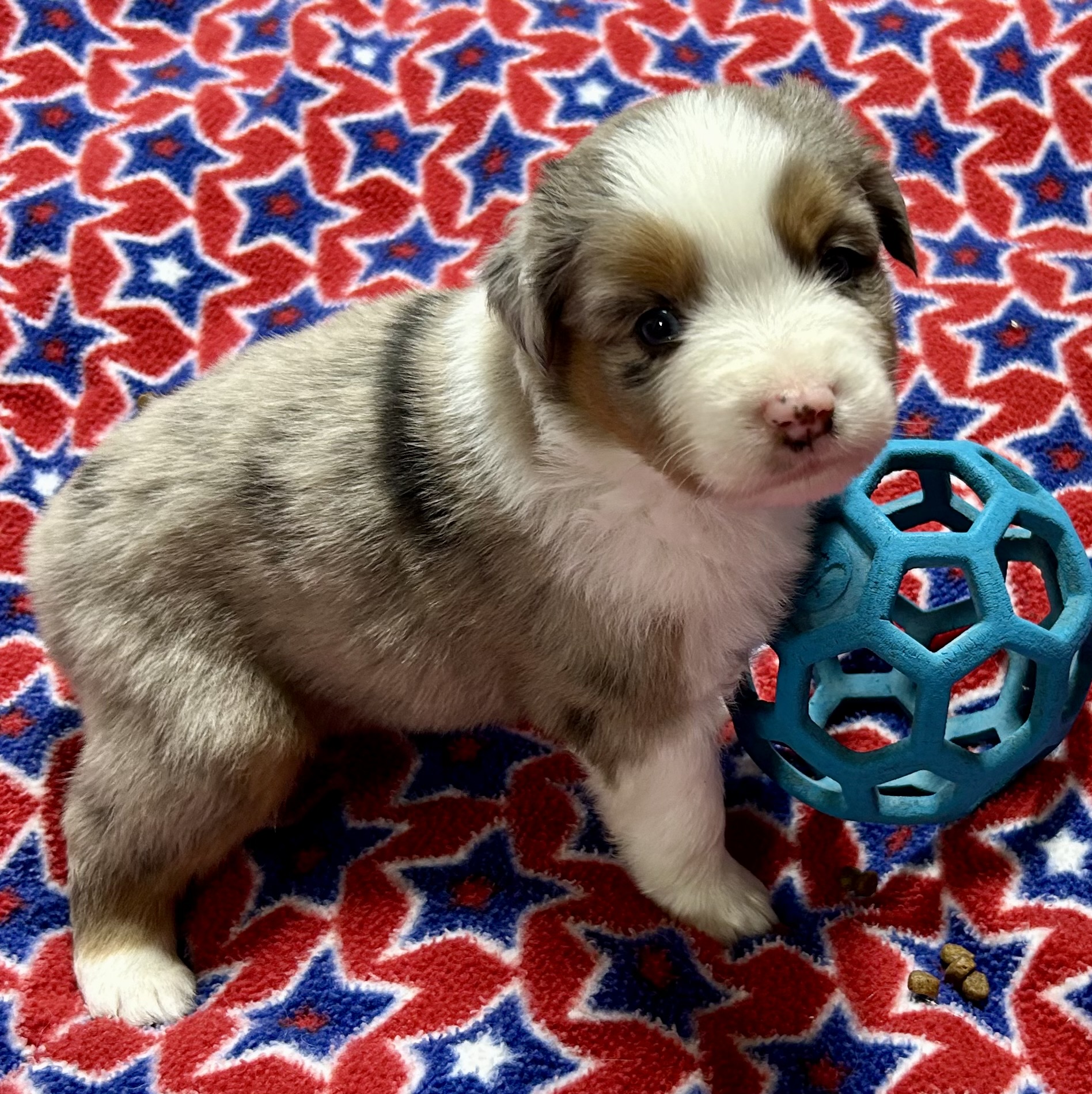 4 weeks old