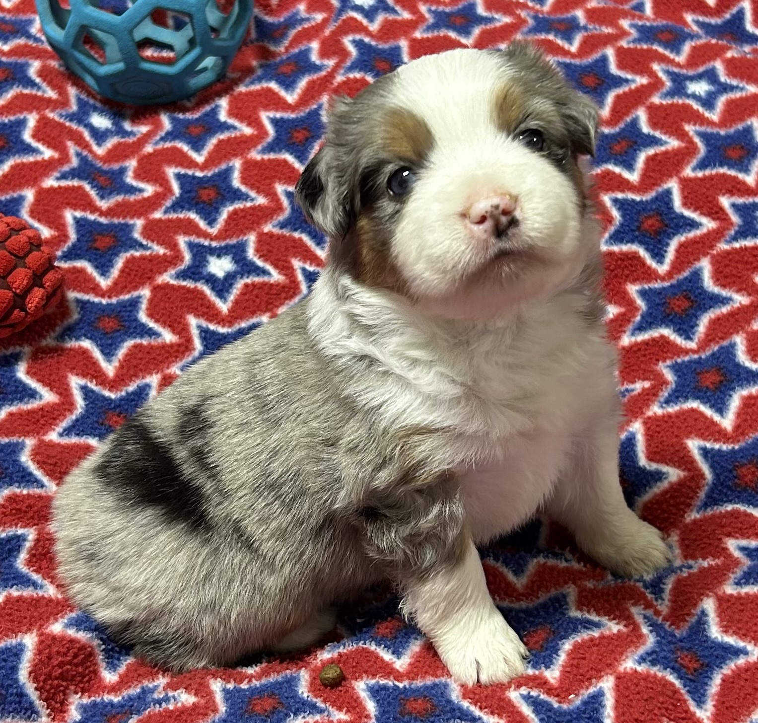 4 weeks old