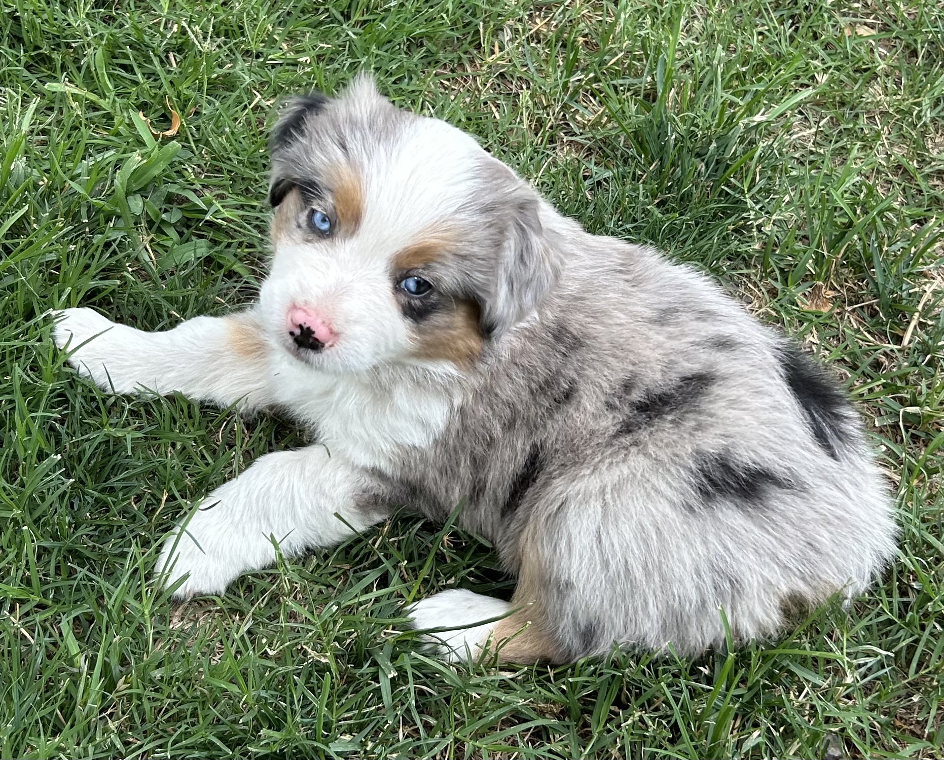 7 weeks