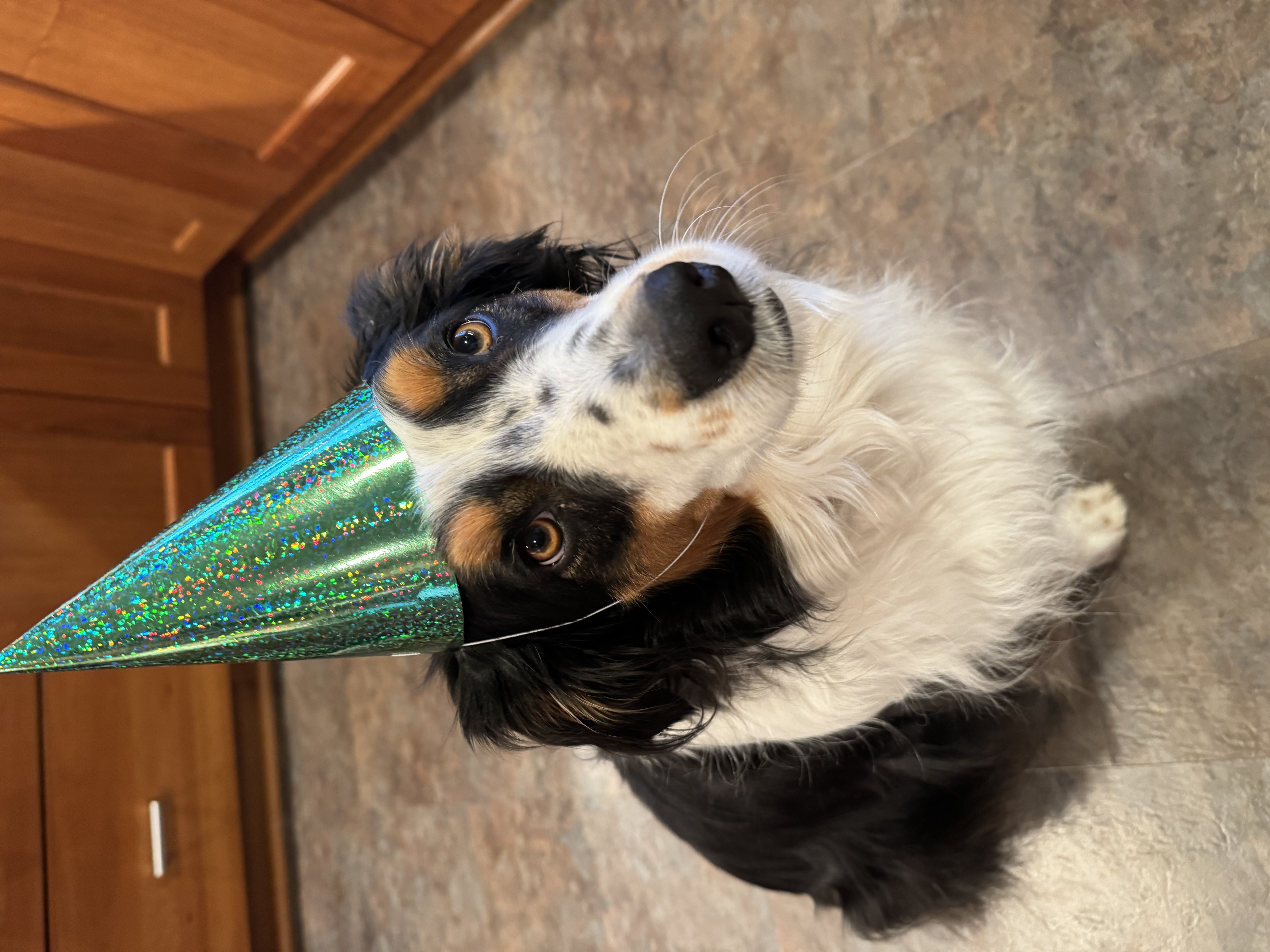 4 years old!