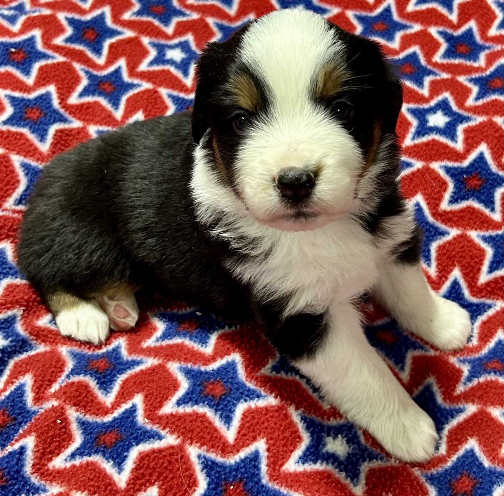 4 weeks old