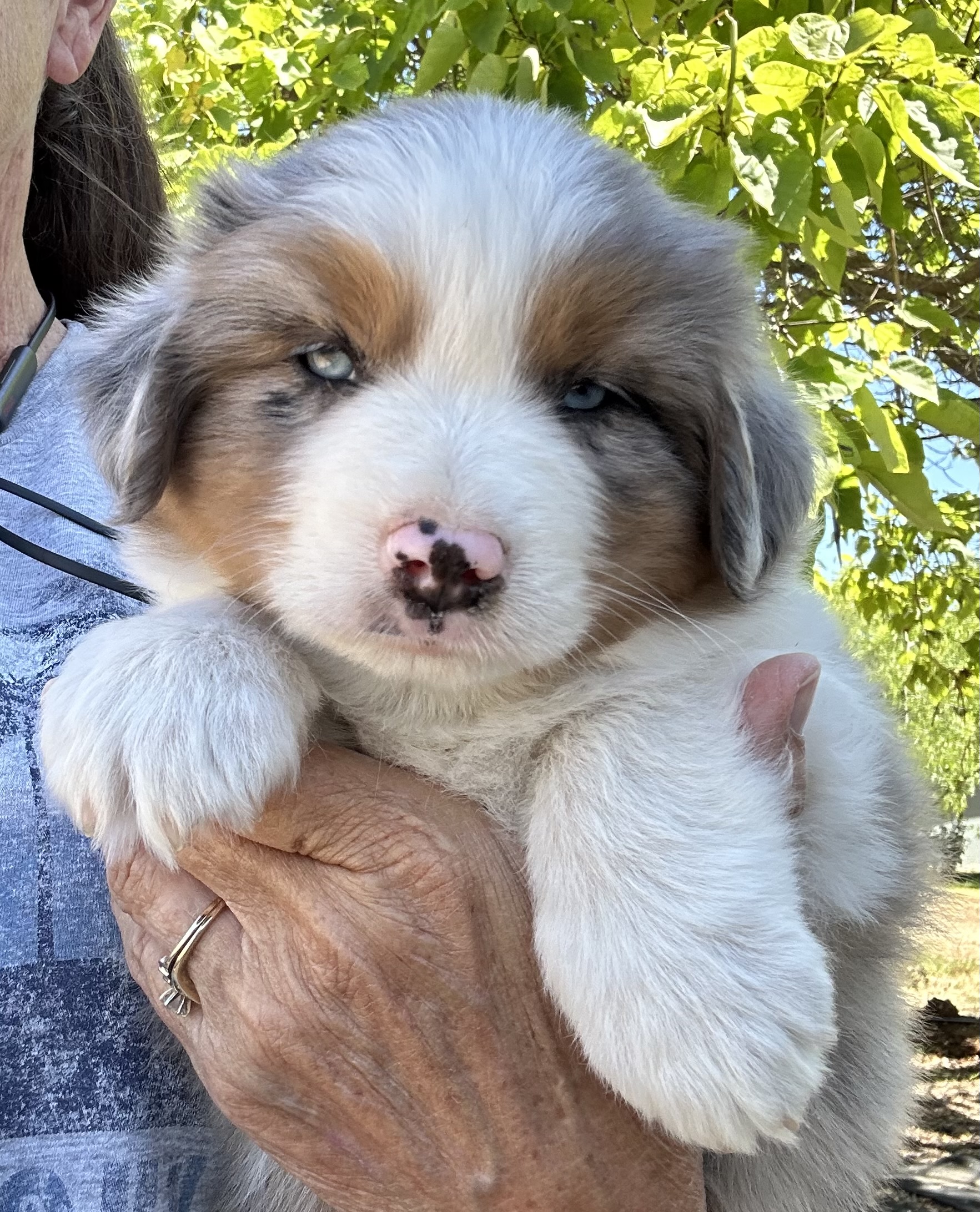 6+ Weeks