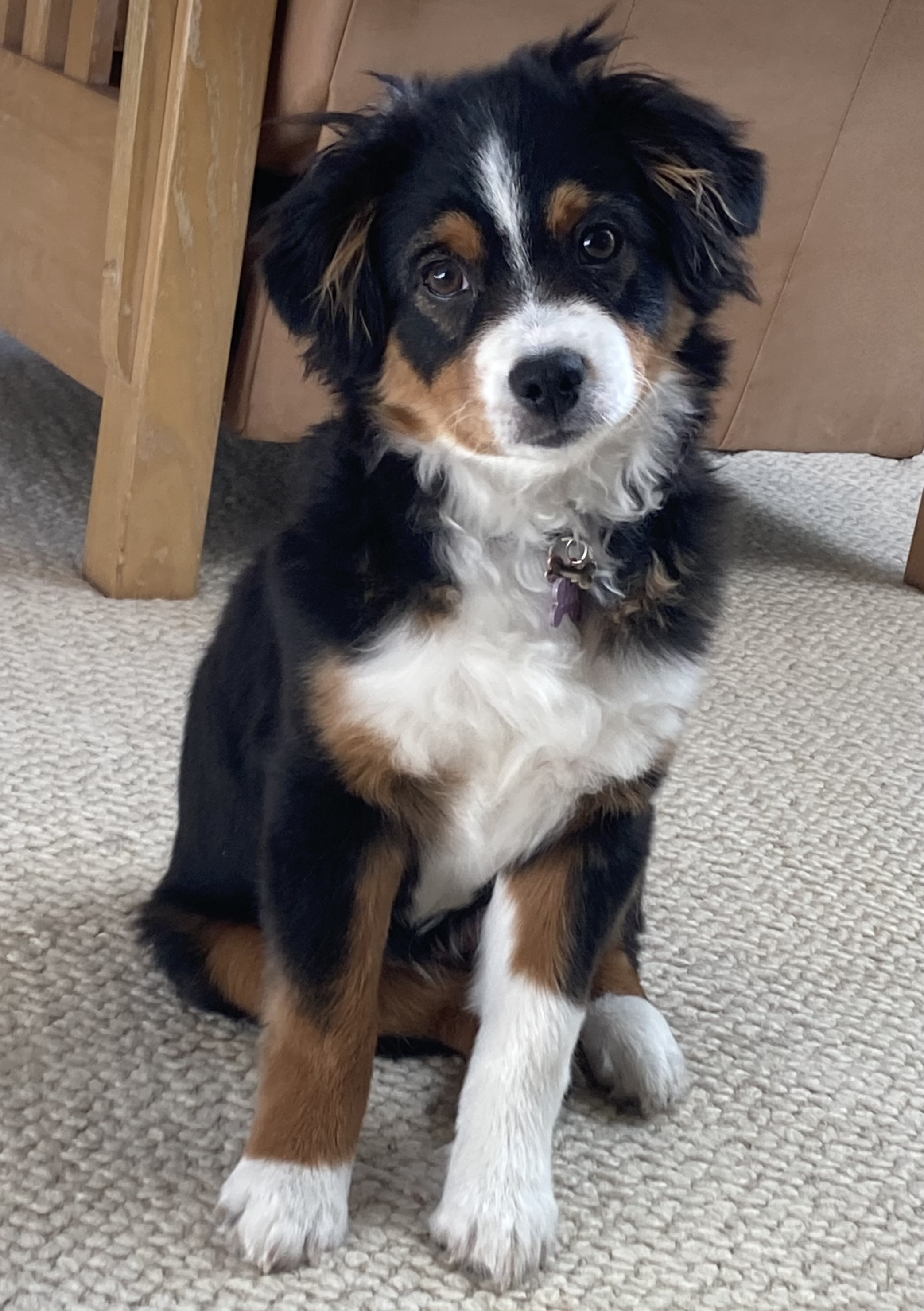 What a little cutie!