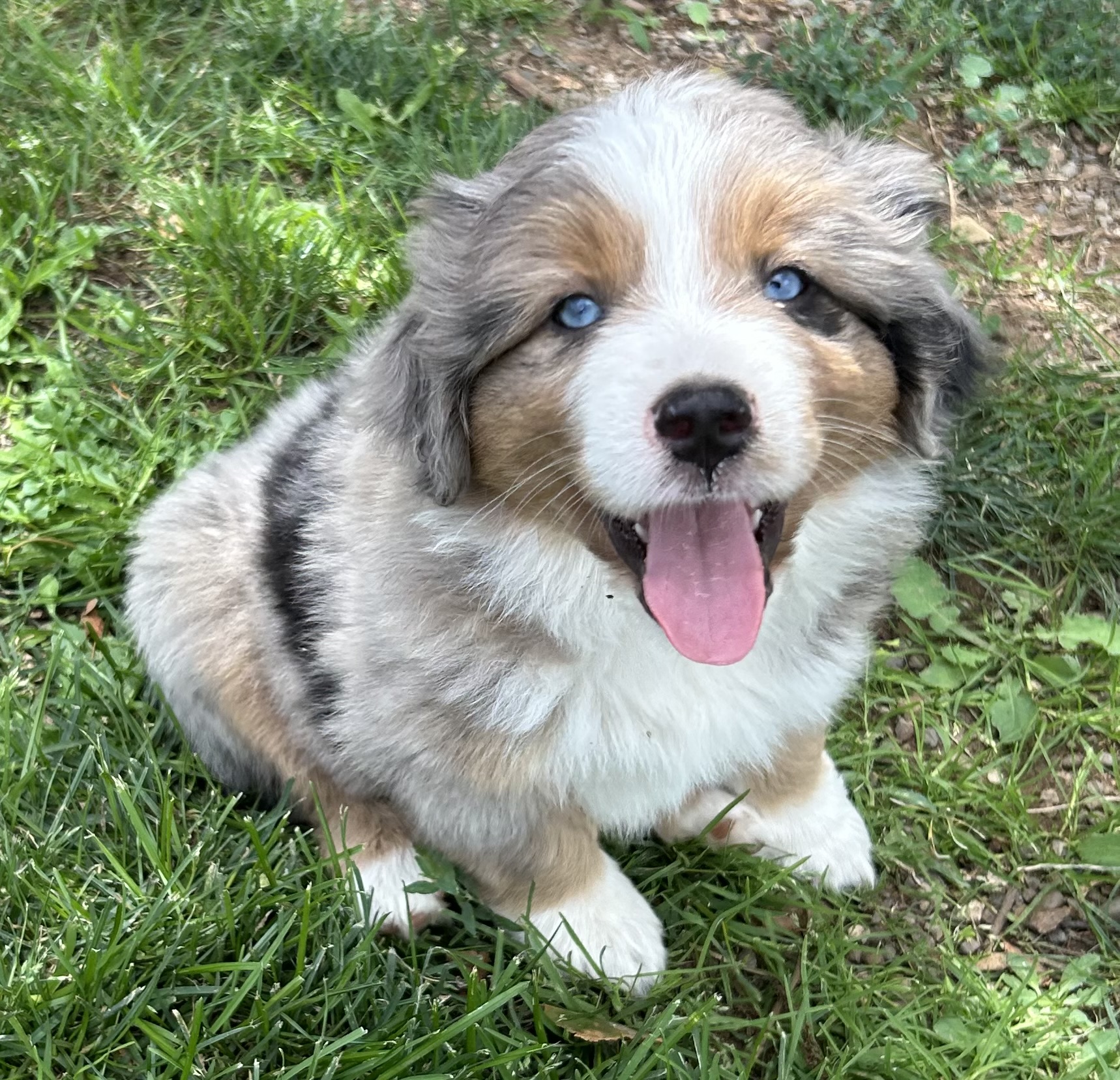 7 weeks