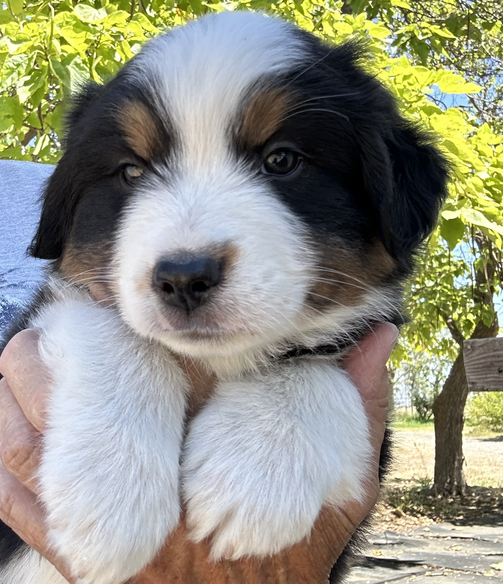 6+ Weeks
