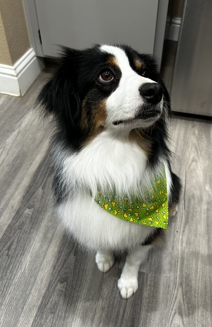 3 Years Old!