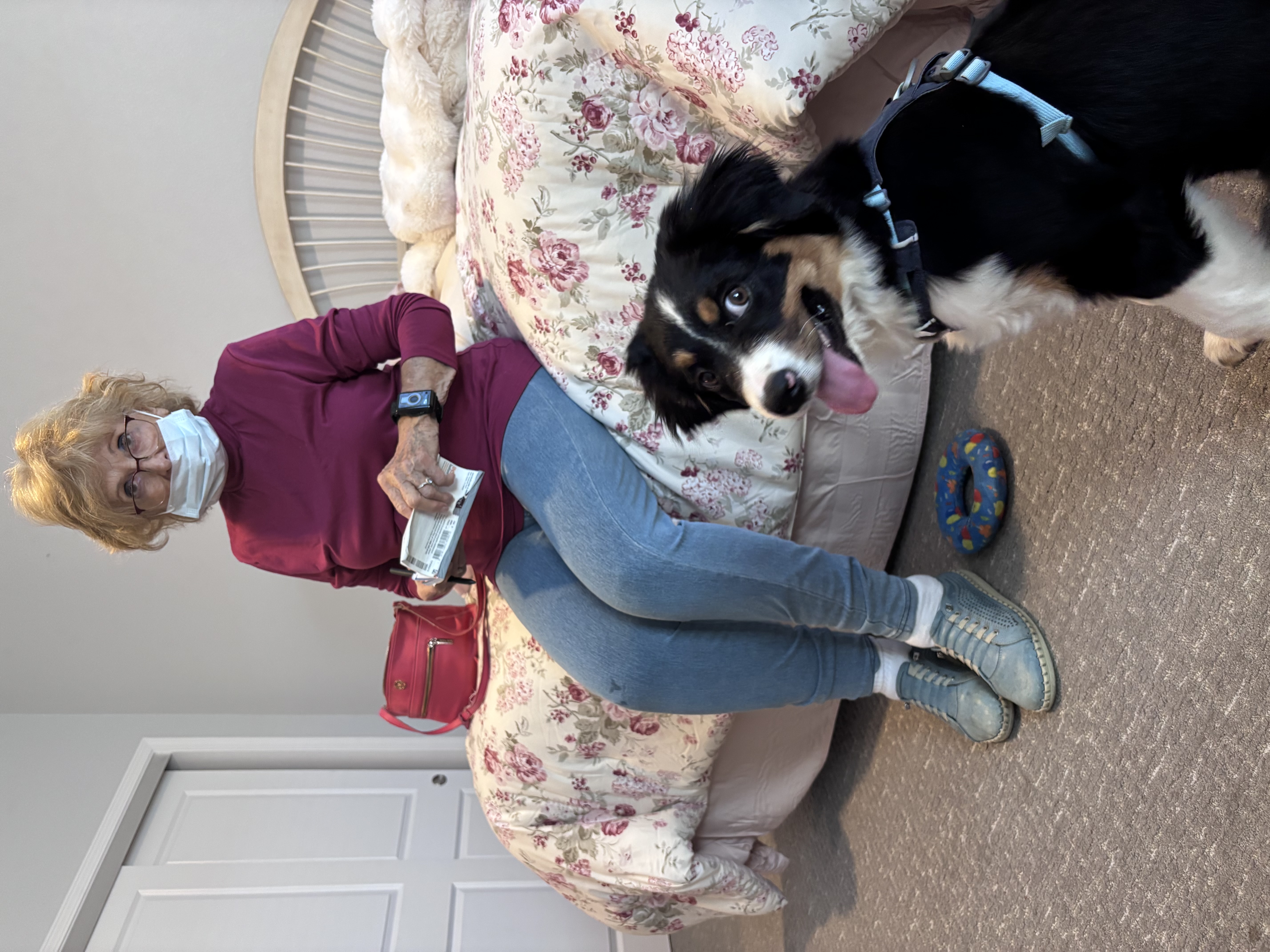 Therapy dog?
