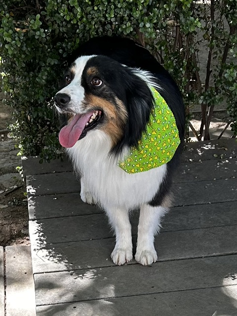 3 Years Old!